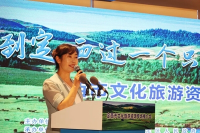 定西市文化旅游产品亮相第二十八届兰洽会 投资旅游助力清凉夏日