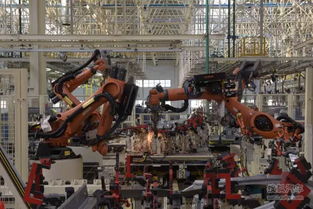 谍照风波引发投资旅游新思考